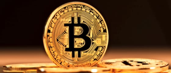 Petua Perjudian Bitcoin yang Terbukti untuk Pemain Kasino Langsung