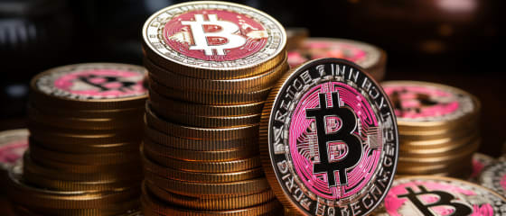 Panduan Pemula untuk Bermain di Kasino Langsung Bitcoin 2024
